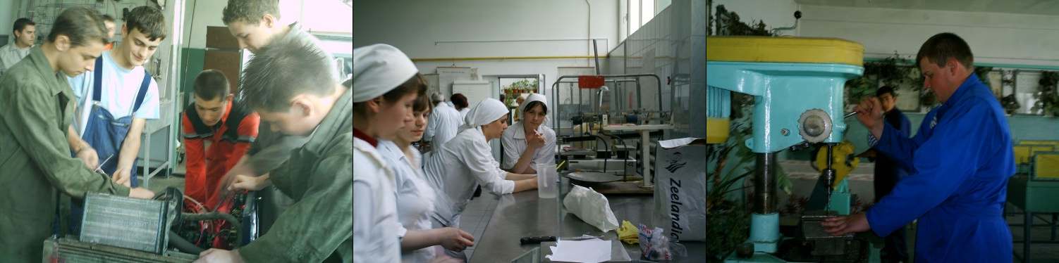 Food industry, mechanics, electronics and automation