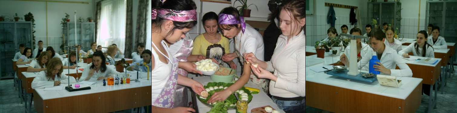 Tourism and alimentation, natural resources and environment protection